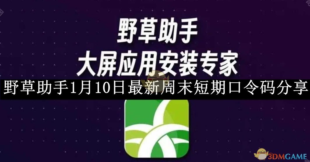 《野草助手》1月10日最新周末短期口令码分享2025