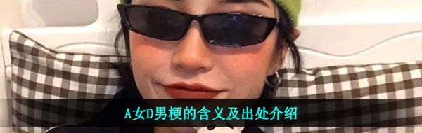 A女D男梗的含义及出处介绍